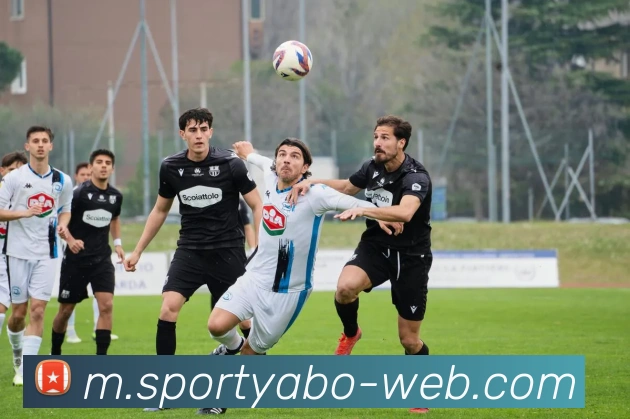 亚博体育APP 封面图