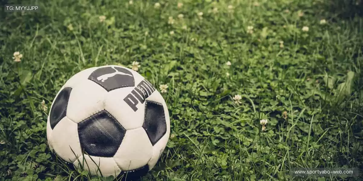 一键订阅，精彩不断！🔔🏐